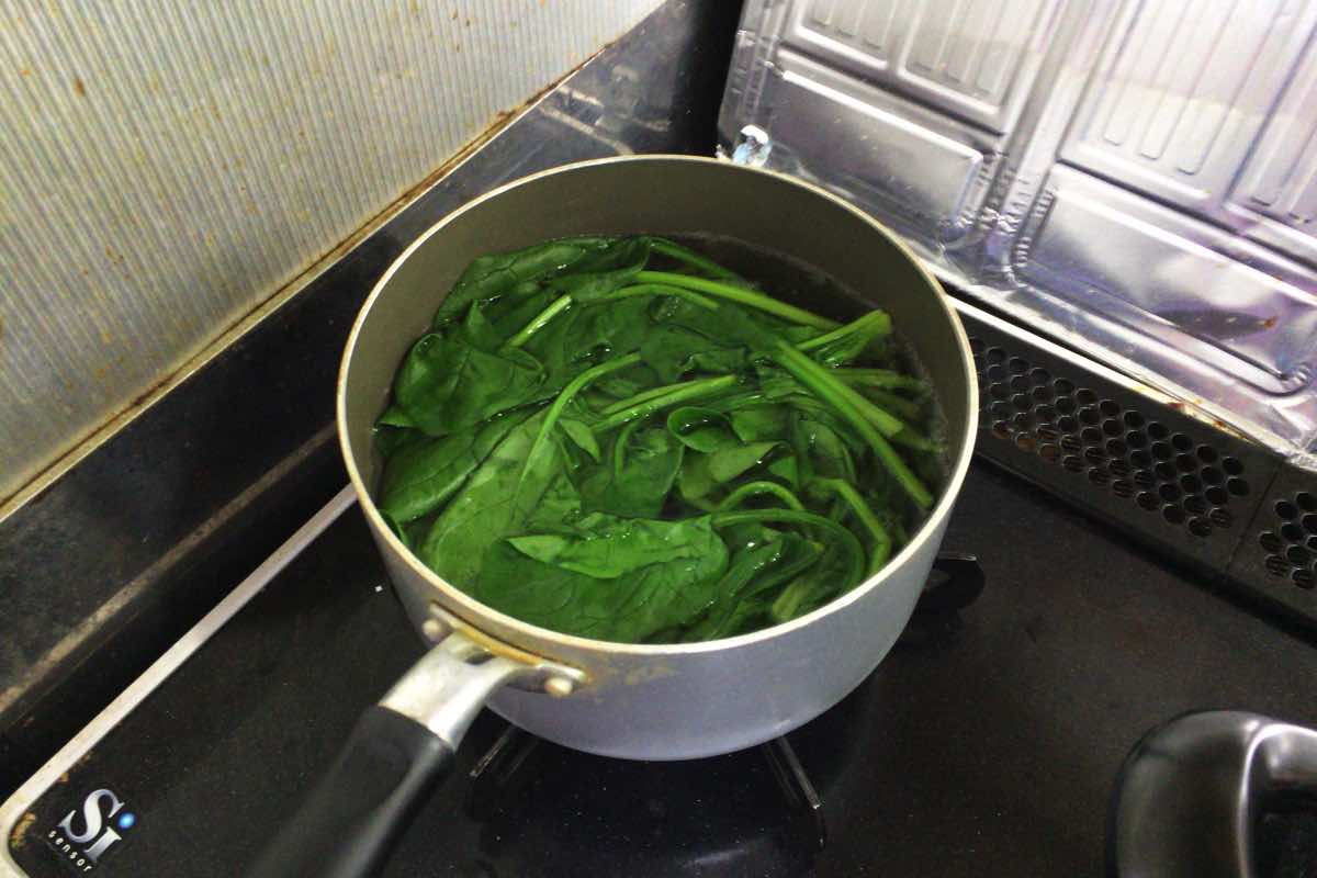Spinach keema curry 04